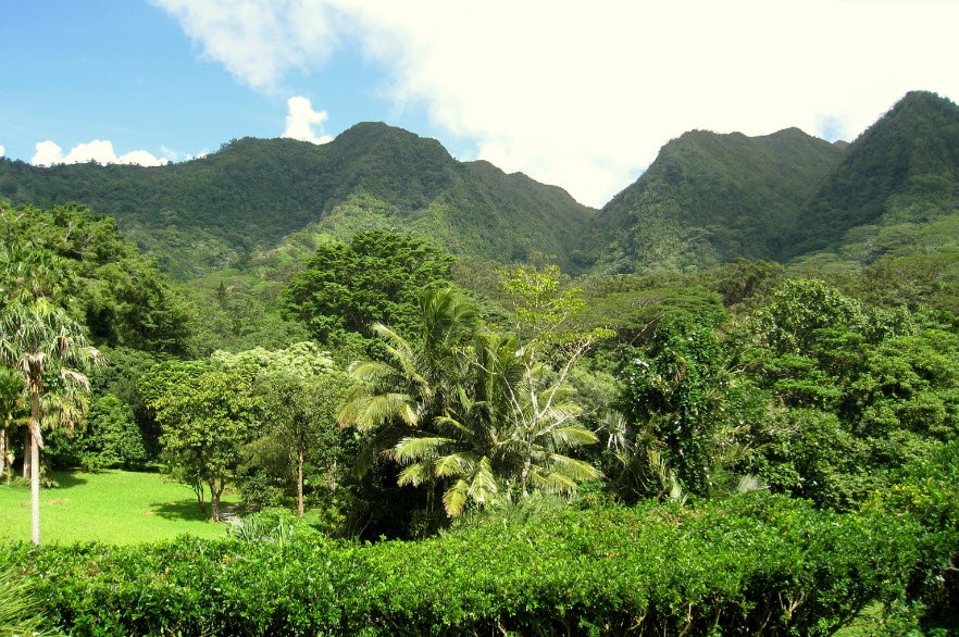 Lyon Arboretum, United States